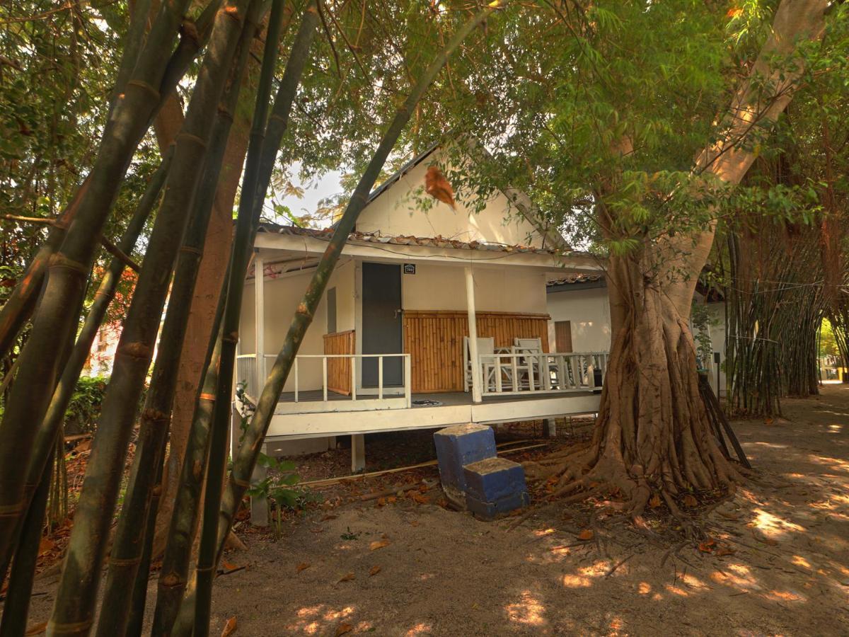 Asia Blue - Beach Hostel Hacienda Κο Πα Νγκαν Εξωτερικό φωτογραφία